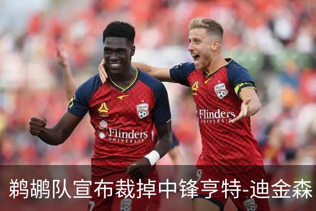 鹈鹕队宣布裁掉中锋亨特-迪金森，未来或投身G联赛